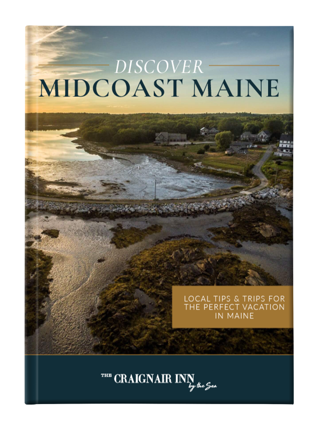 Discover Maine ebook cover